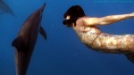 Together: Dancing with Spinner Dolphins directed by Chisa Hidaka